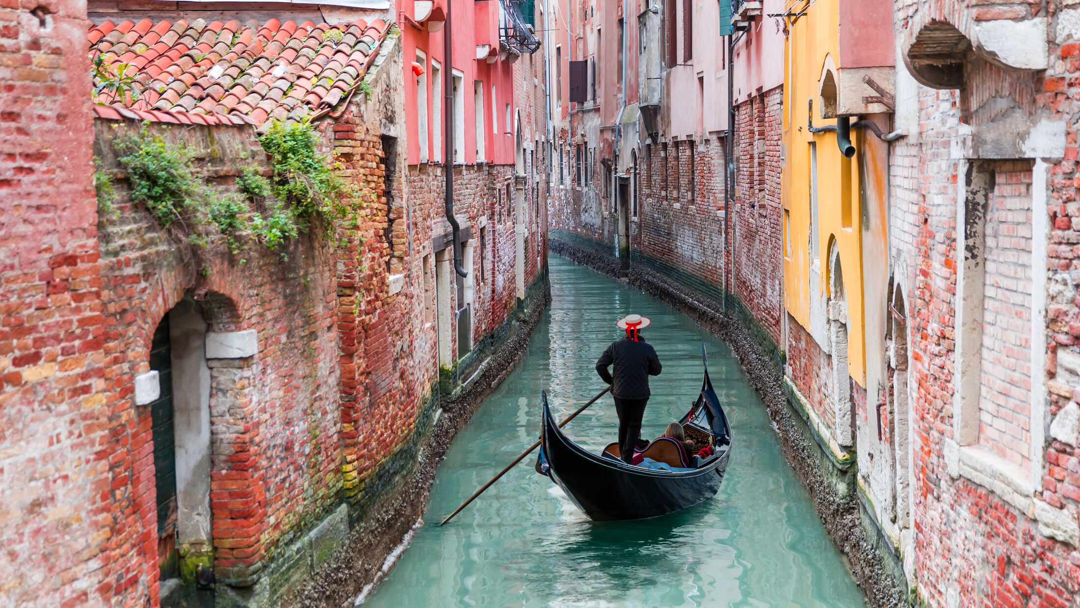 Venetian gondolier punting gondola through green canal waters of Venice, Italy
