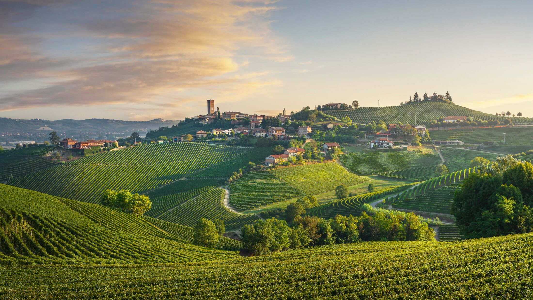 Barbaresco Village and Langhe Vineyards, Piedmont