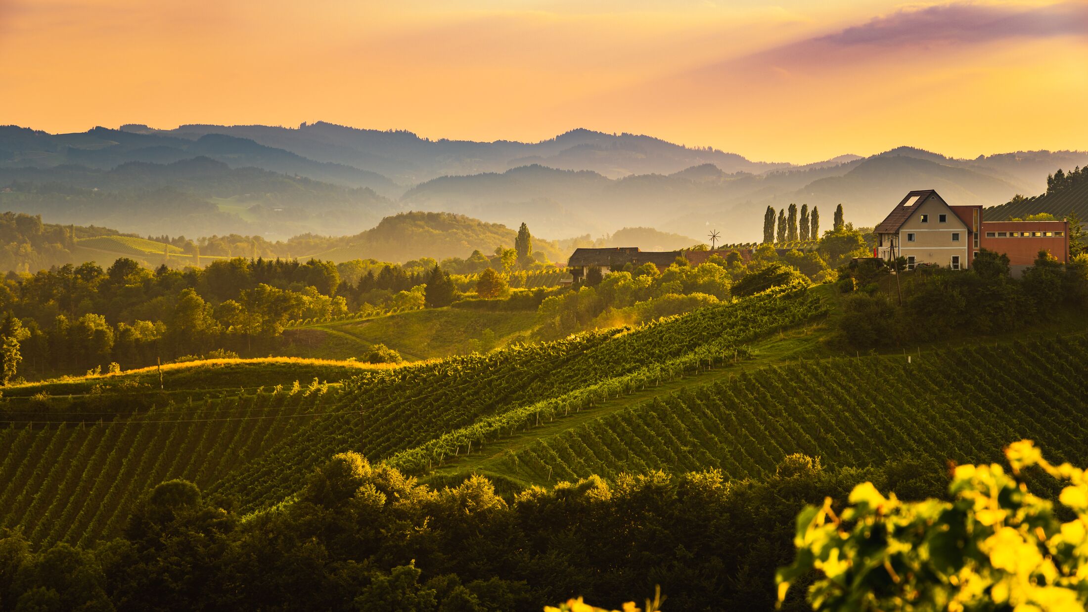 View from famous wine street in South Styria, Austria on Tuscan-like vineyard hills.