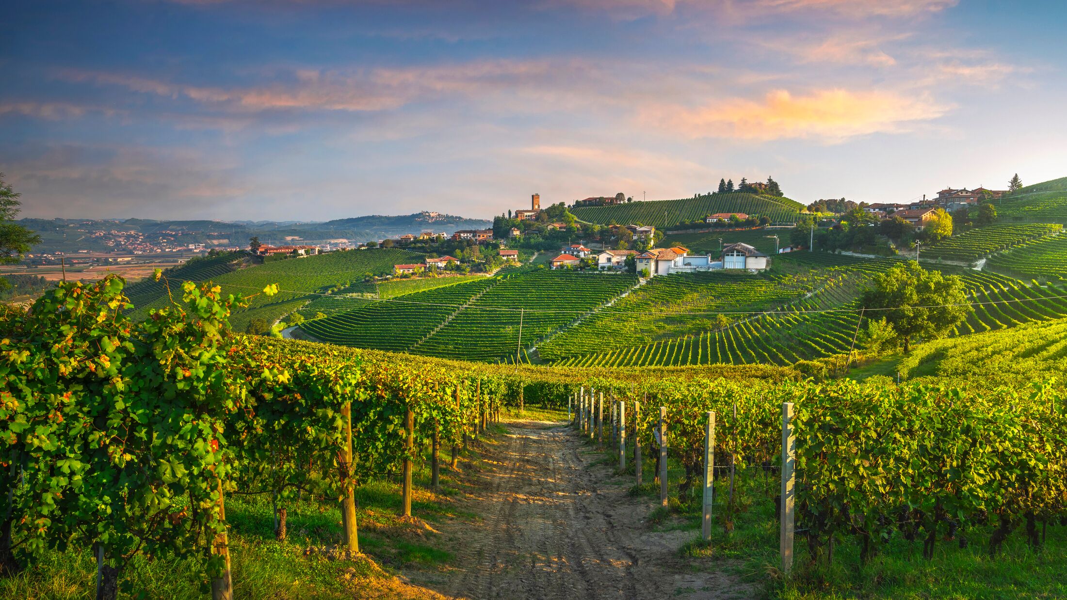 Barbaresco Village and Langhe Vineyards, Piedmont