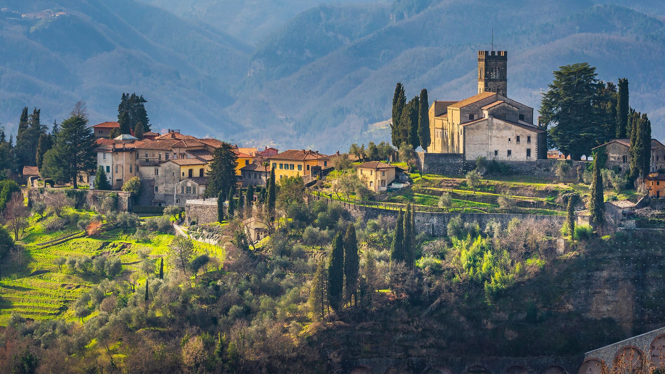 Citalia Black Friday Sale 2025