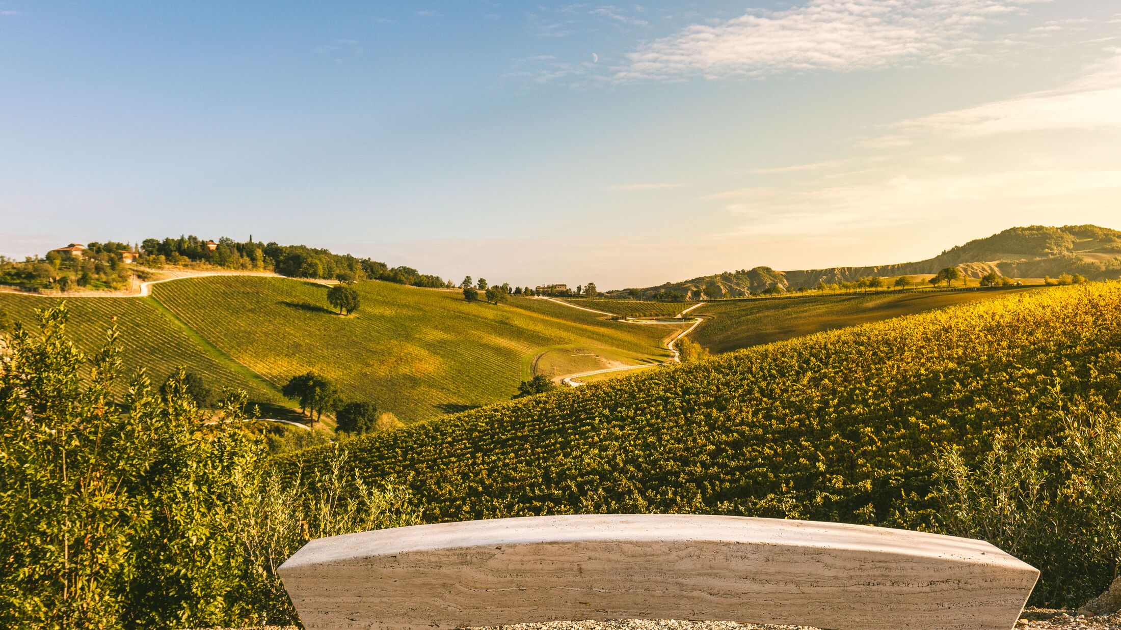 Palazzo-Varignana-2024-Wine-Cellar-003-121984-Hybris