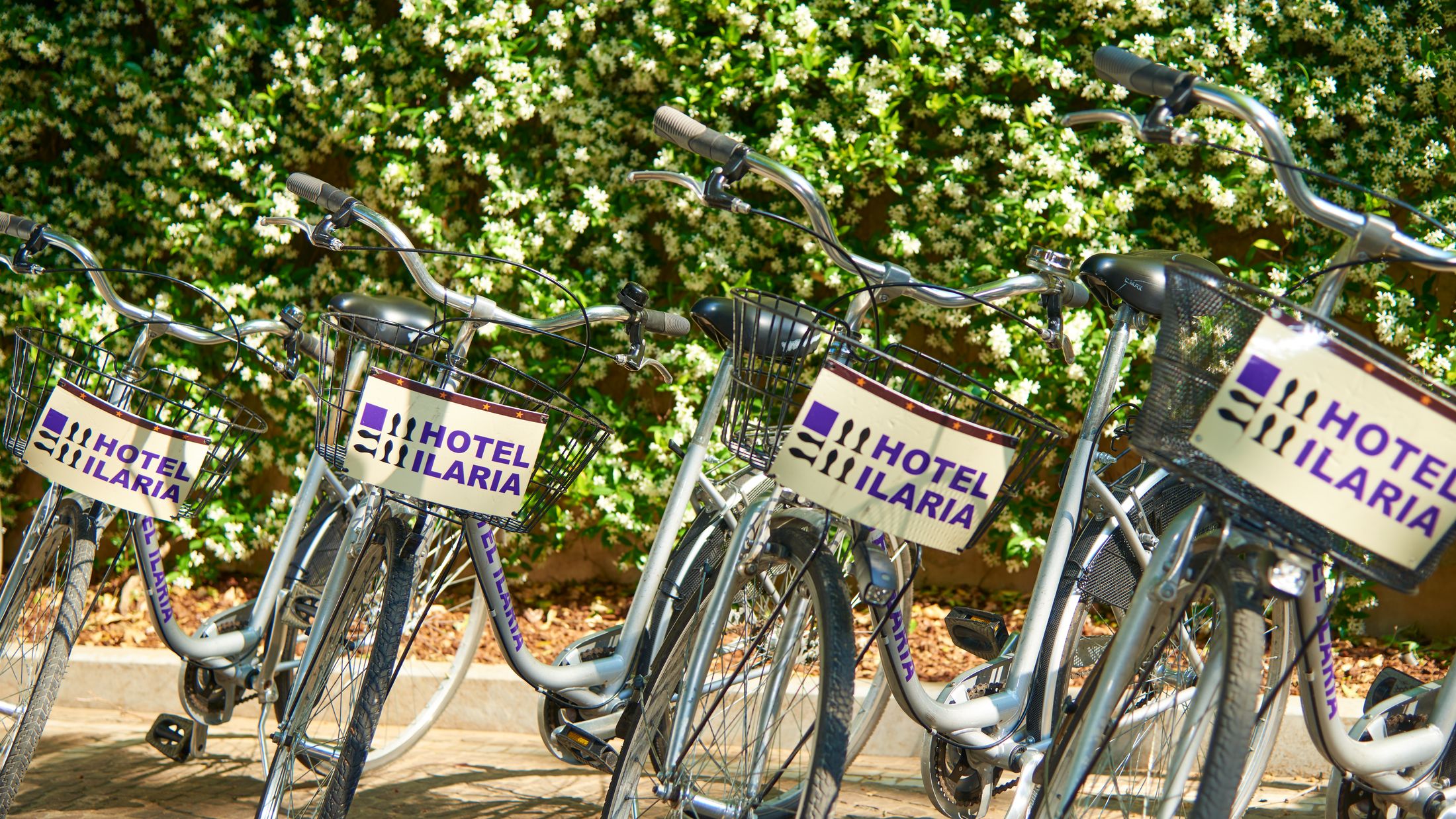 120444_Bike_hire_001-Hybris