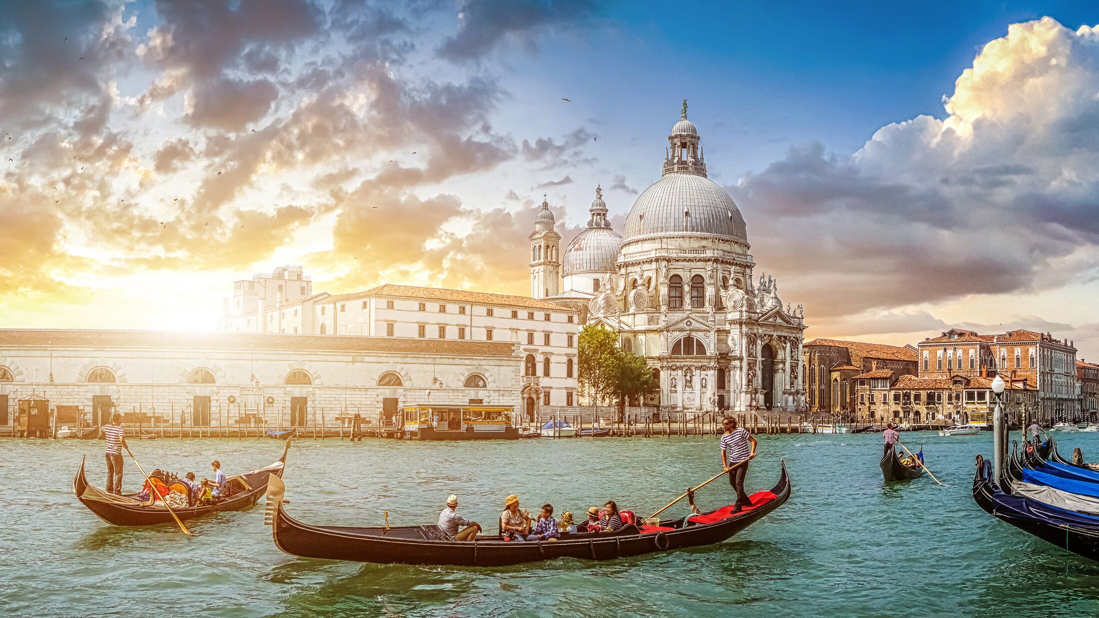 Beautiful view of traditional Gondolas on famous Canal Grande with historic Basilica di Santa Maria della Salute in the background in romantic golden evening light at sunset in Venice, Italy