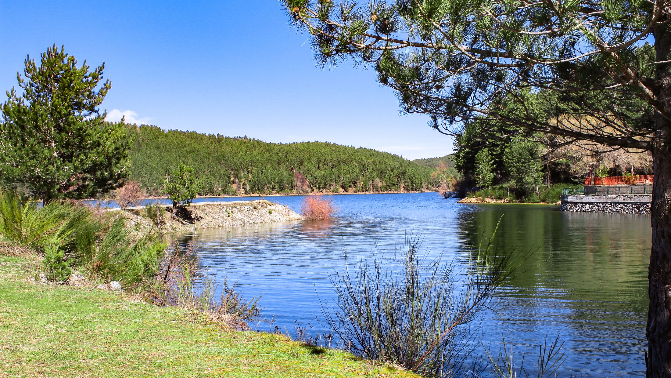 Sila National Park, Calabria, Italy. Lake Ampollino.