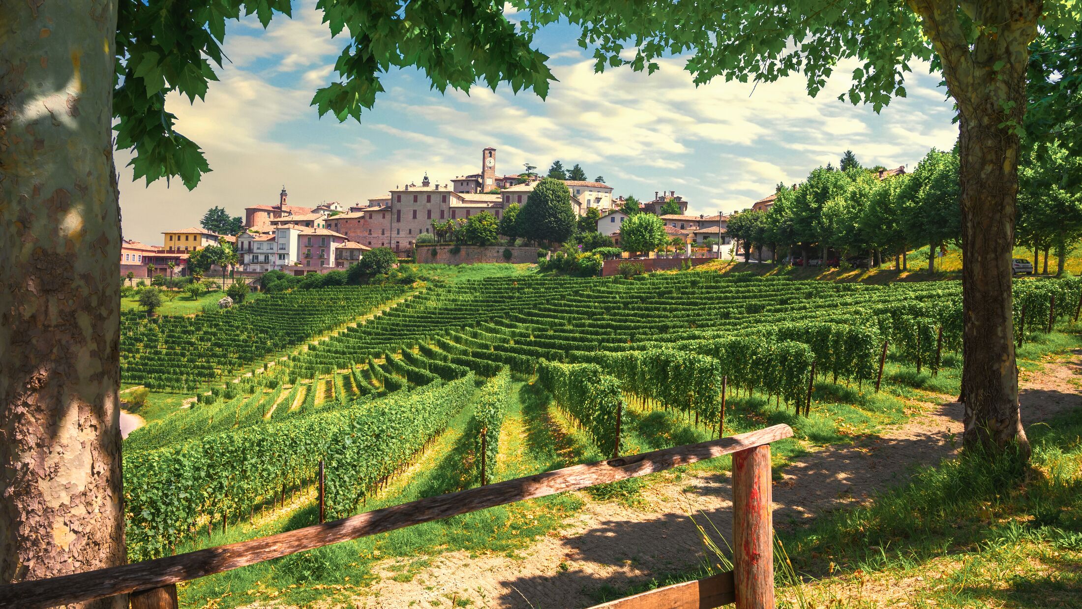 Neive village and Langhe vineyards, Unesco Site, Piedmont, Northern Italy Europe. High quality photo