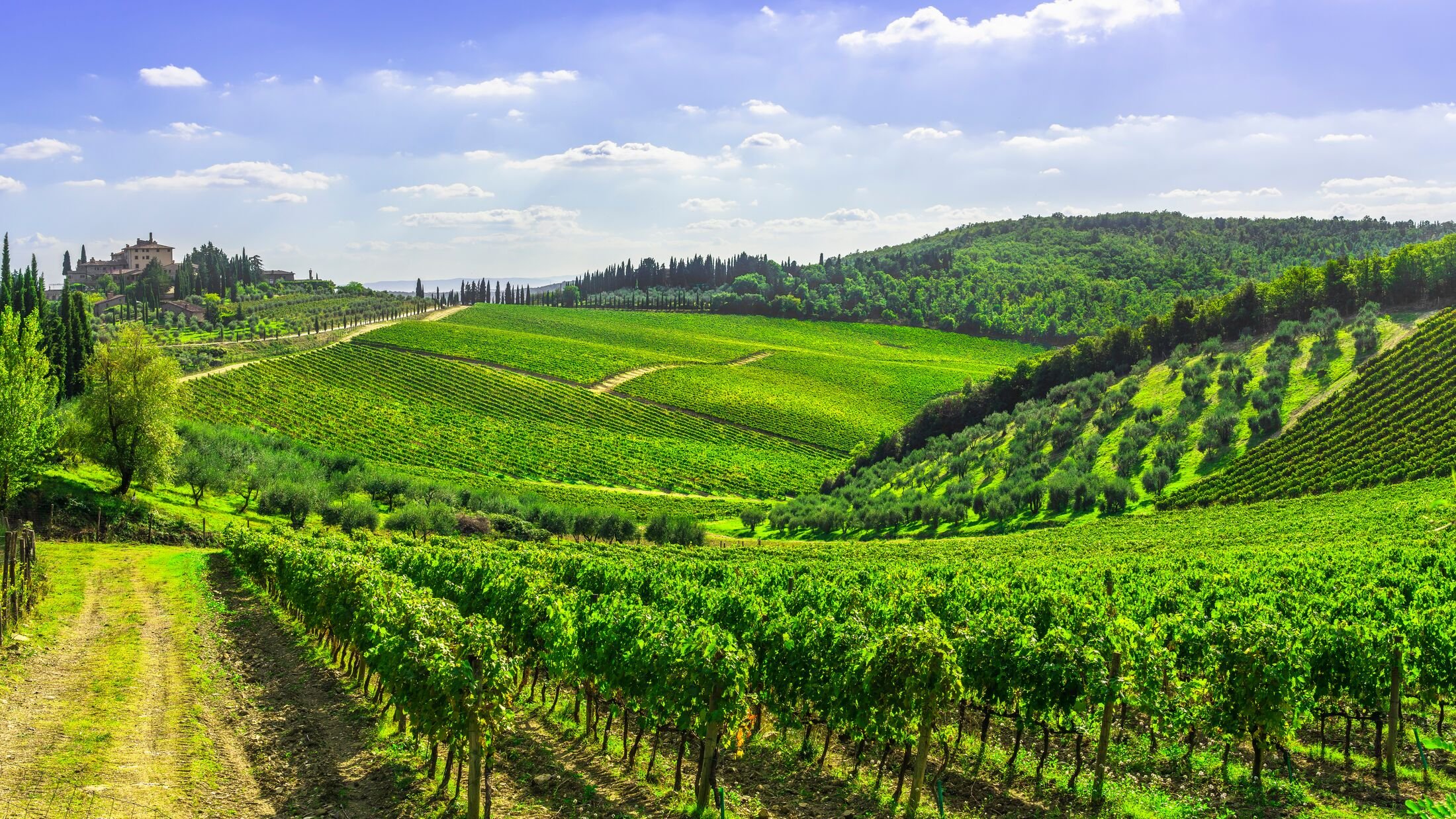 Radda in Chianti vineyard and panorama at sunset in autumn. Tuscany, Italy Europe.