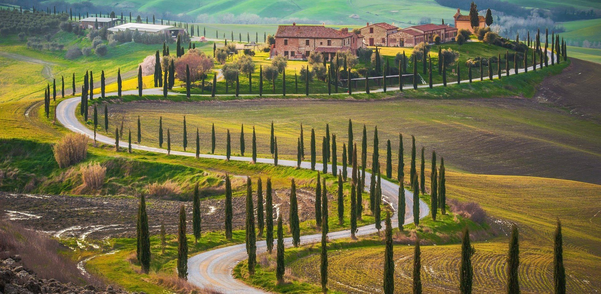 Sunny fields in Tuscany, Italy; Shutterstock ID 180212603; PO: Citalia