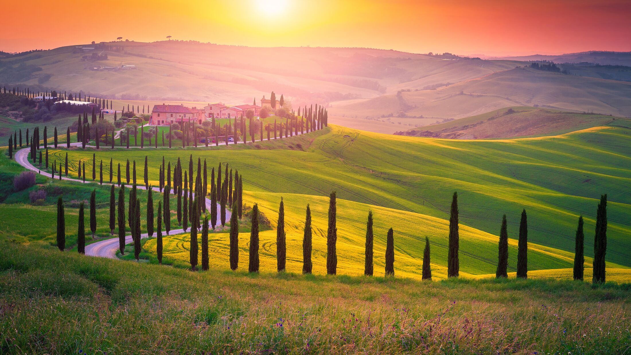 Well known Tuscany landscape with grain fields, cypress trees and houses on the hills at sunset. Summer rural landscape with curved road in Tuscany, Italy, Europe