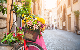 Bicycle with flowers in the old street in Rome, Italy