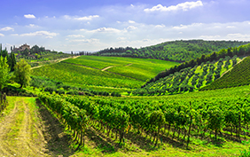 Radda in Chianti vineyard and panorama at sunset in autumn. Tuscany, Italy Europe.