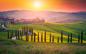 Well known Tuscany landscape with grain fields, cypress trees and houses on the hills at sunset. Summer rural landscape with curved road in Tuscany, Italy, Europe