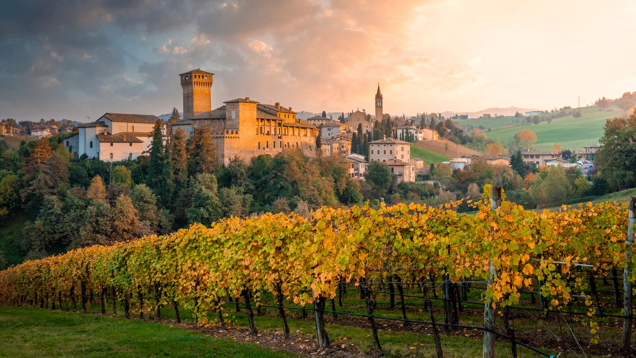 Levizzano Rangone countryside and vineyards during sunset. Levizzano Rangone, Castelvetro di Modena, Modena province, Emilia Romagna, Italy