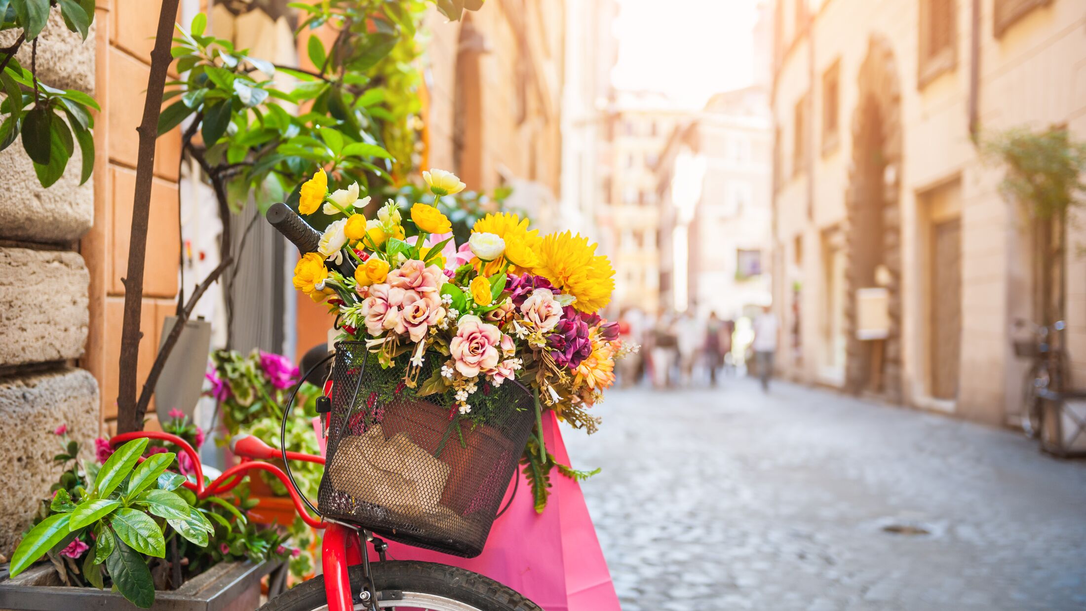 Bicycle with flowers in the old street in Rome, Italy