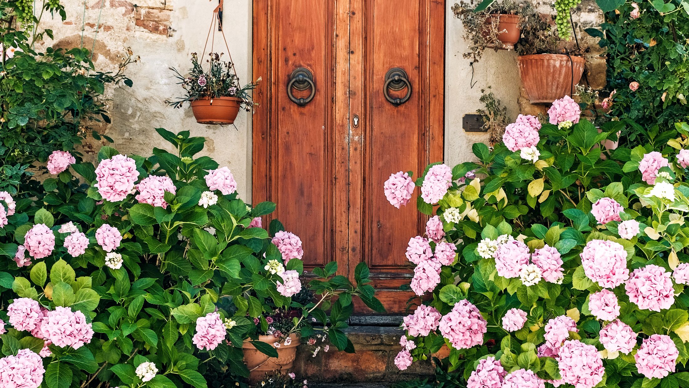 close up of a door with flower, filled streets of the old Italian city in Tuscany