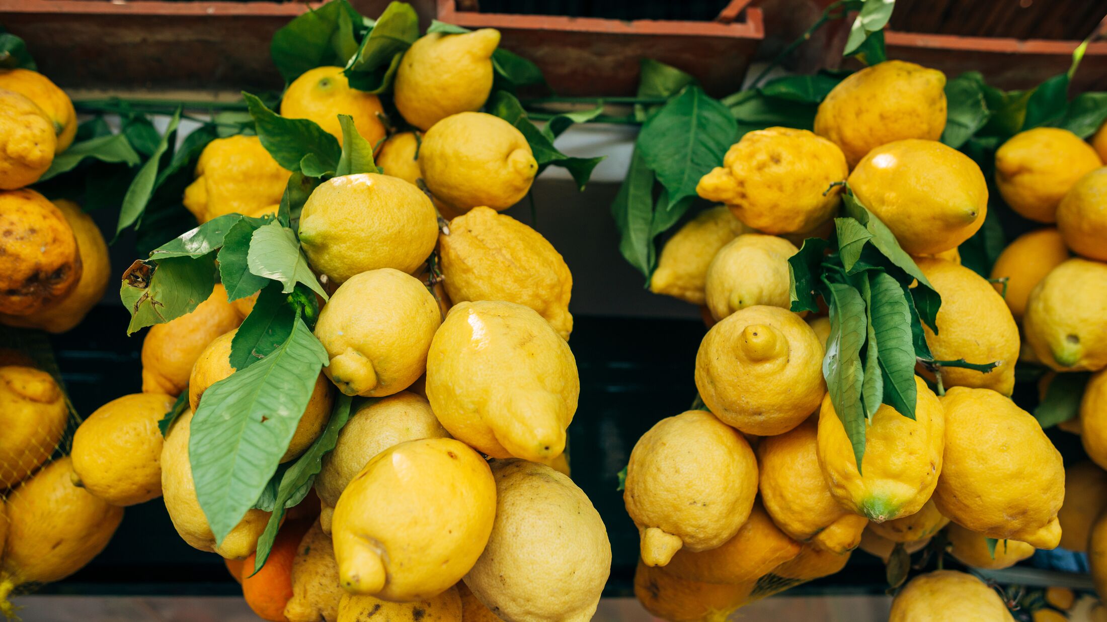 Traditional delicious Italian lemons on Capri island, Amalfi coast, Naples, Italy