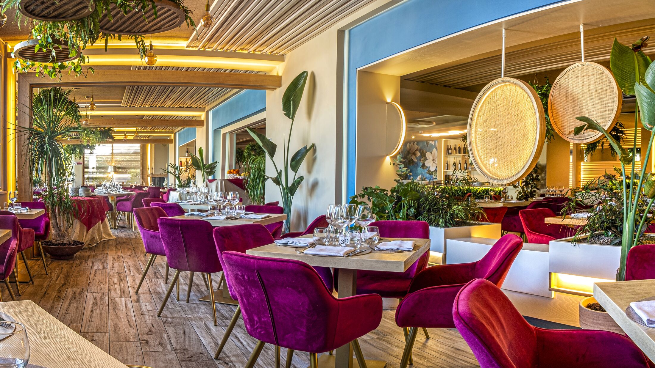 Sentido-Michelizia-2023-Restaurant-002-121907-Hybris