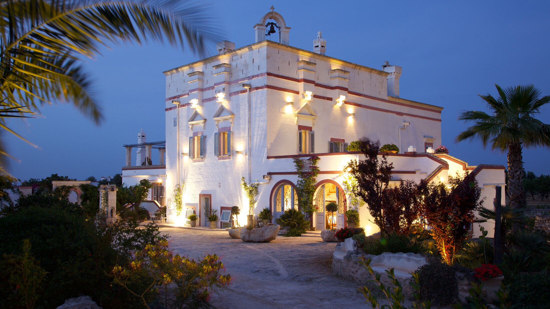 a group of palm trees with a building in the background