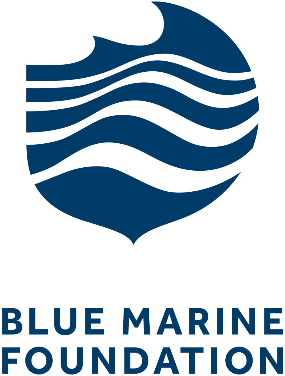 Blue-Marine-2023-Sustainablity-Logo-Blue-300346-edit