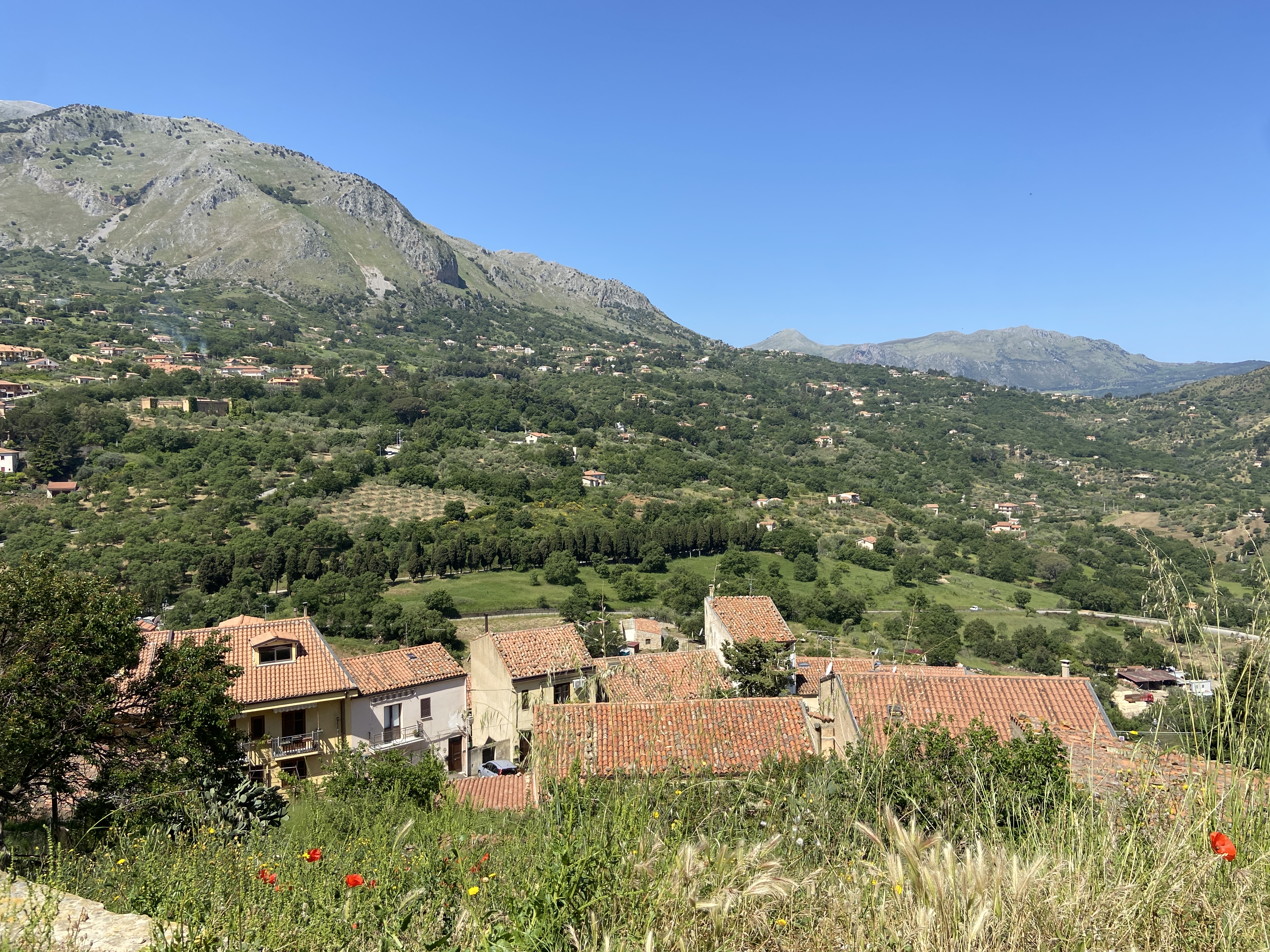a castle with a mountain in the background