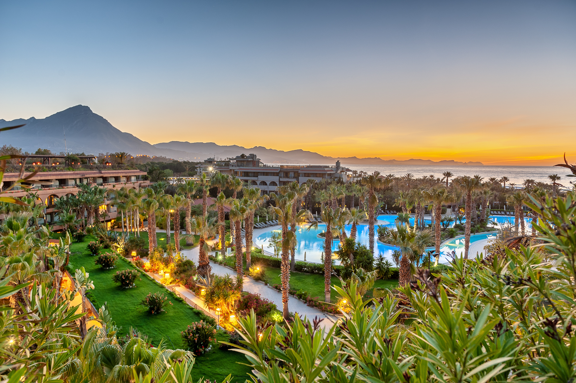 a group of palm trees next to a body of water