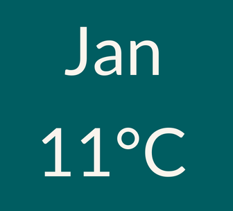 graphical user interface, text, application
