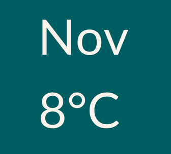 graphical user interface, text