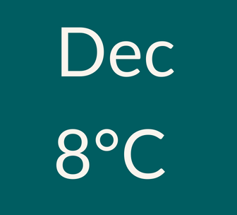 graphical user interface, text, application