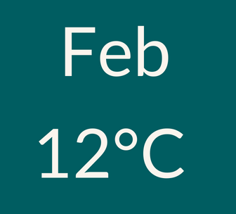 graphical user interface, text, application