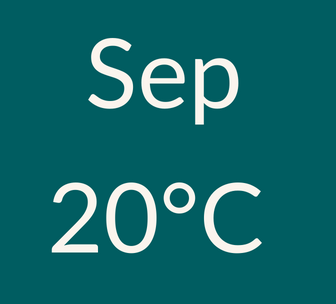 graphical user interface, text, application