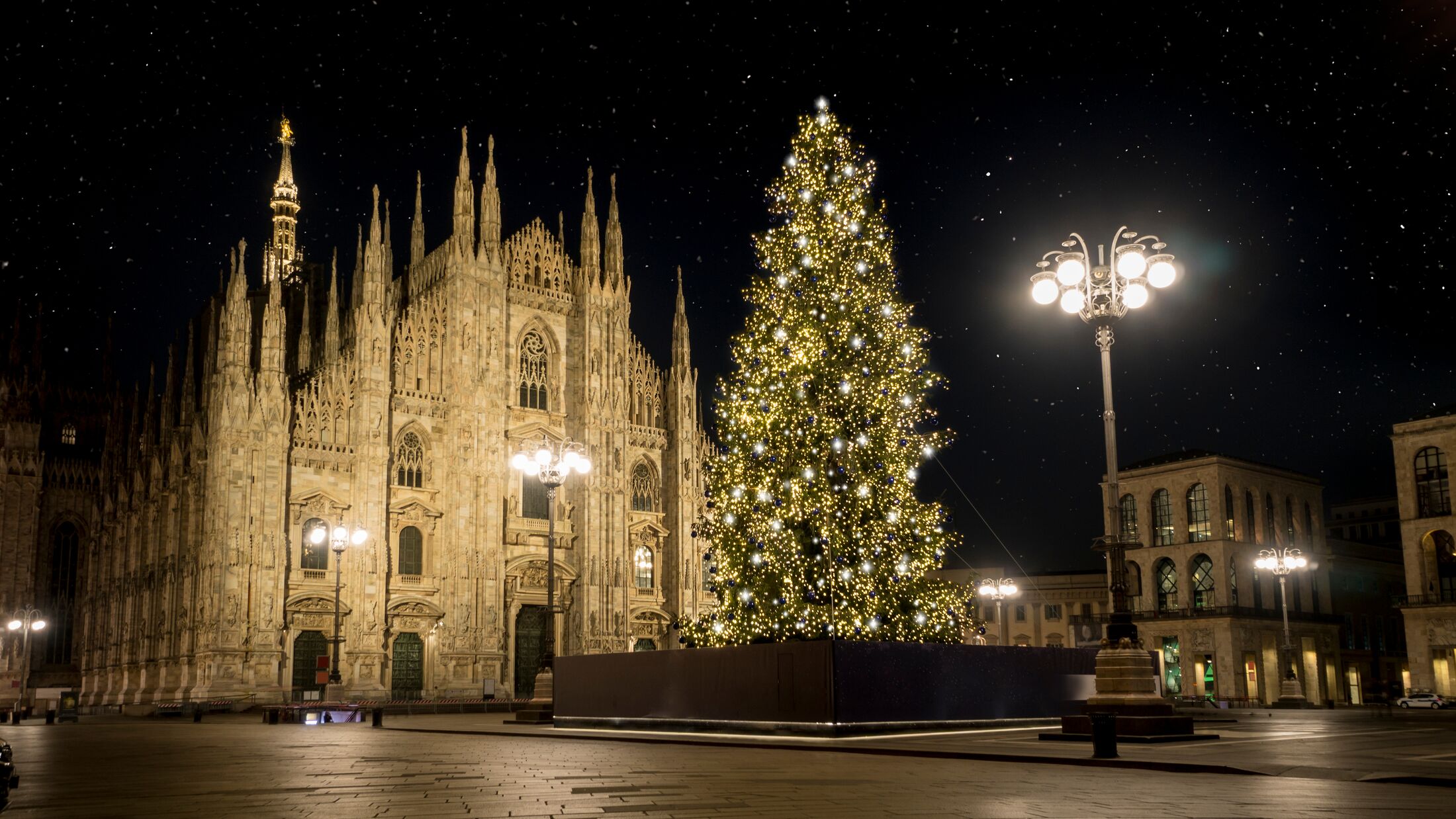 Milan (Italy) in winter: Christmas tree in front of Milan cathedral, Duomo square in december, night view. Starry sky.